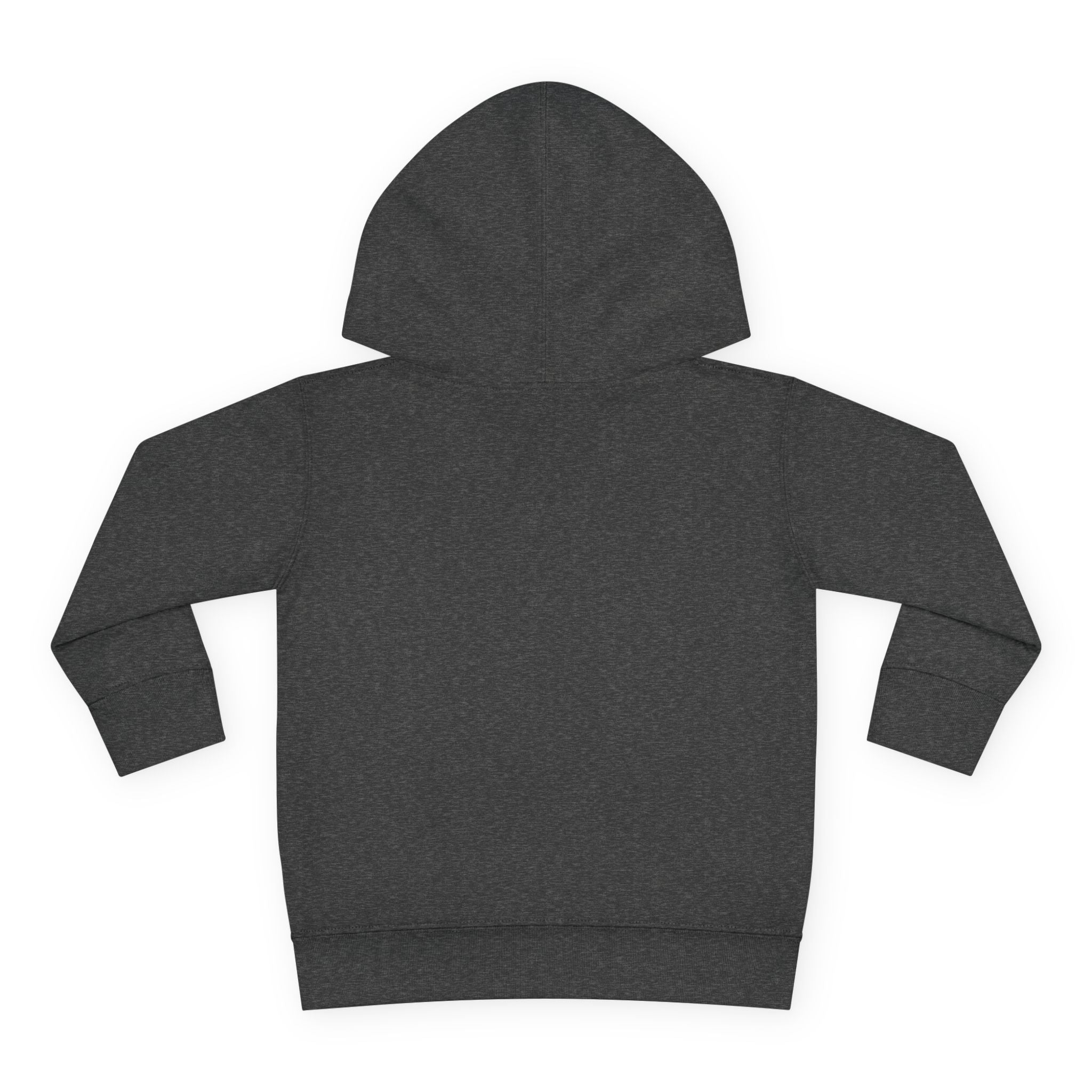 "Dark Matters" Toddler Fleece Hoodie – Cozy Cosmic Style for Little Explorers