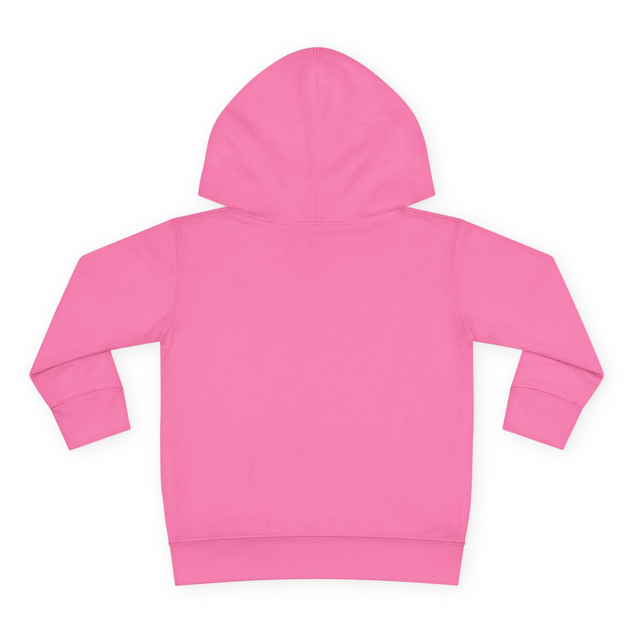 "Dark Matters" Toddler Fleece Hoodie – Cozy Cosmic Style for Little Explorers