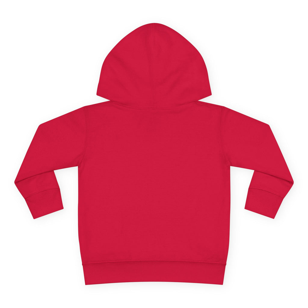 "Dark Matters" Toddler Fleece Hoodie – Cozy Cosmic Style for Little Explorers