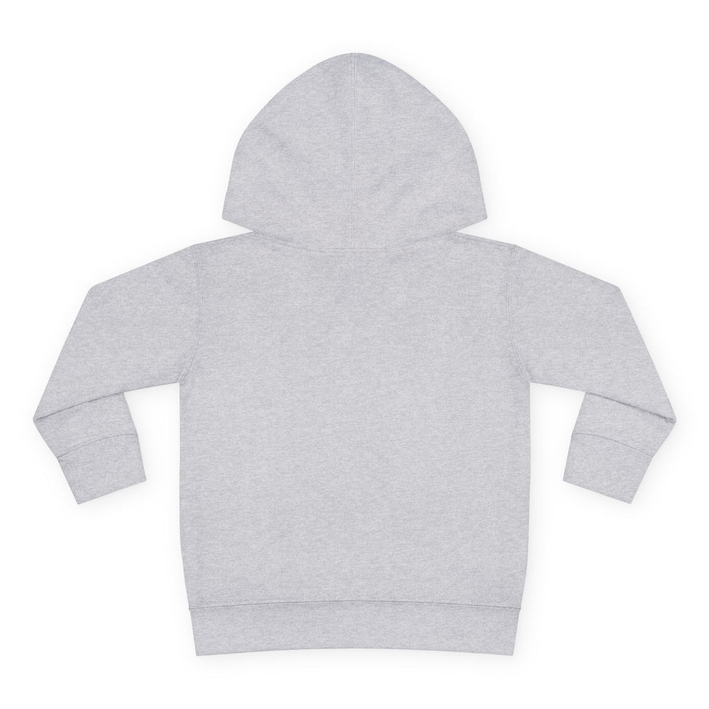 "Dark Matters" Toddler Fleece Hoodie – Cozy Cosmic Style for Little Explorers