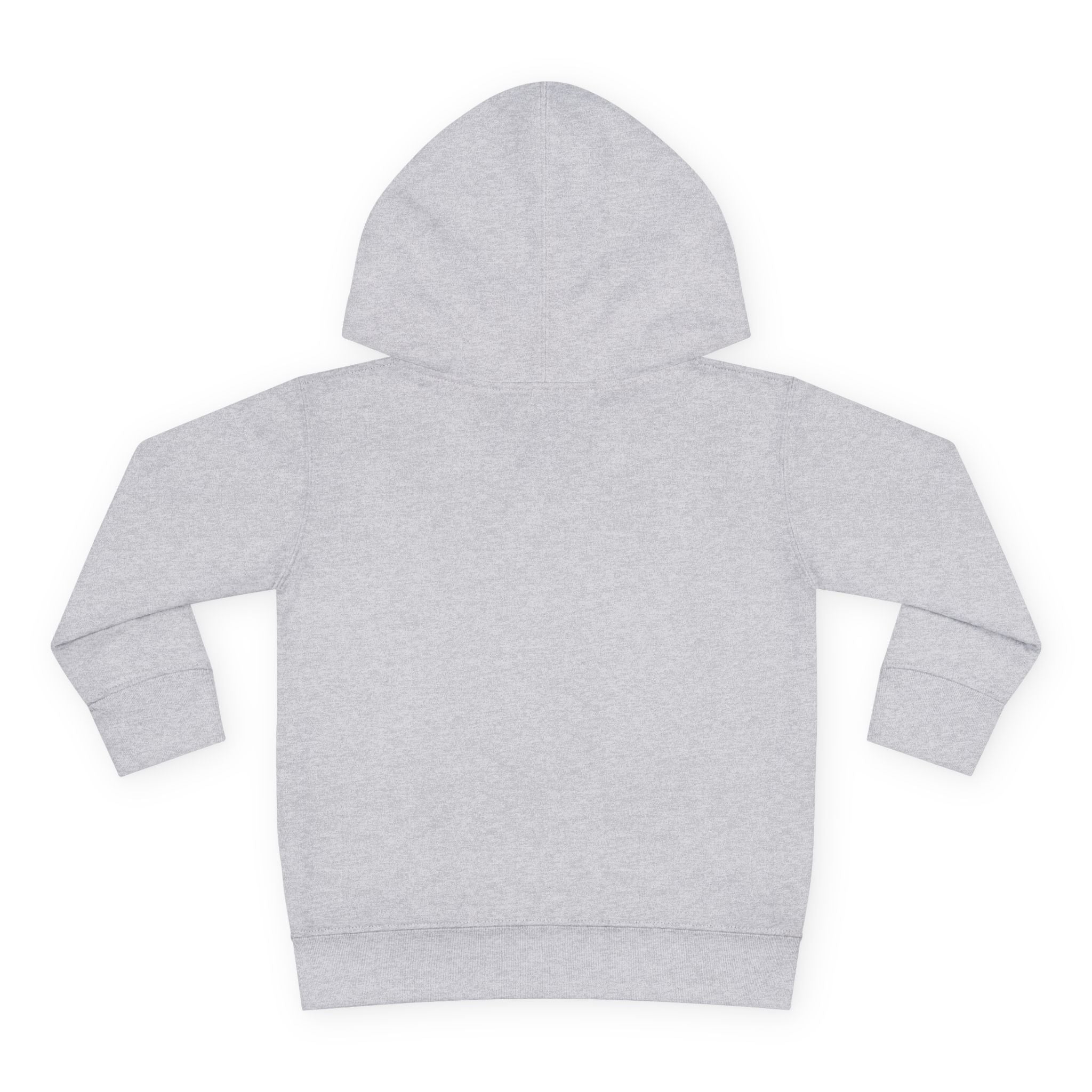 "Dark Matters" Toddler Fleece Hoodie – Cozy Cosmic Style for Little Explorers