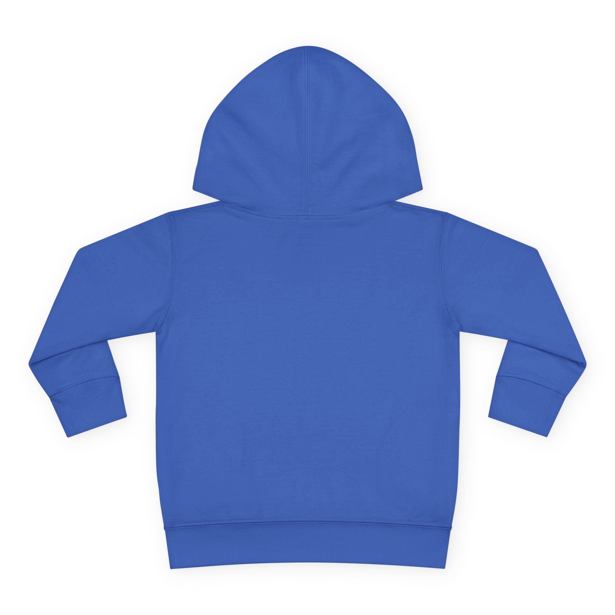 "Dark Matters" Toddler Fleece Hoodie – Cozy Cosmic Style for Little Explorers